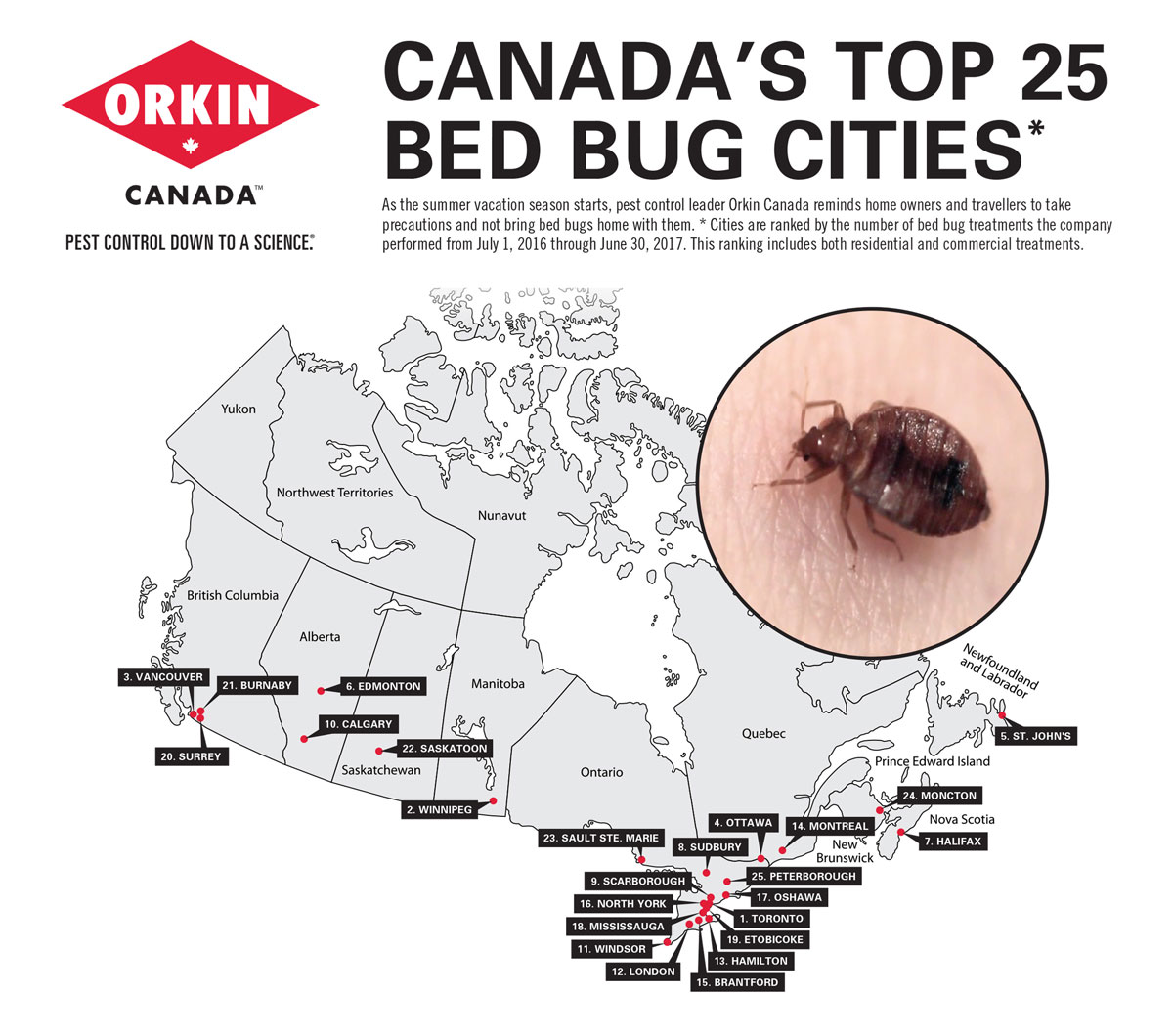 Cidades com mais bed bugs no Canadá