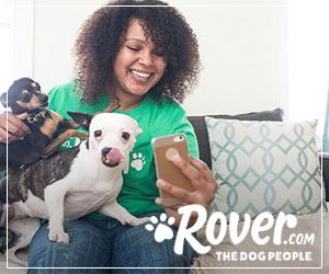 Rover - pet sitting e dog walking no Canadá