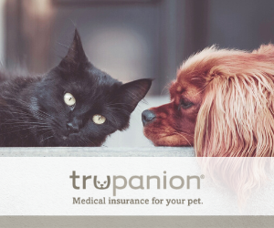 Trupanion - Medical insurance for your pet, seguro-saúde para cães e gatod